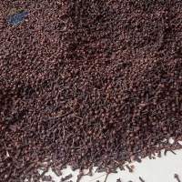 Natural Clove Whole Spice For Sale Fresh