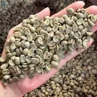 100% Natural Pure Green Coffee Beans