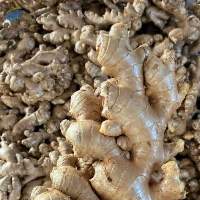 Premium Whole Dried Ginger High Quality