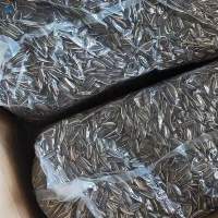 Natural Organic Refined Sunflower Seeds