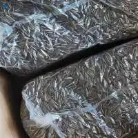 Natural Organic Refined Sunflower Seeds