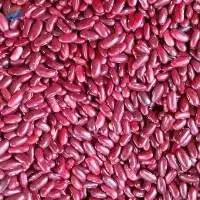 Fresh Red Kidney Beans Rich Flavor