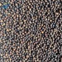 Export Grade Pure Black Pepper 500-550gl
