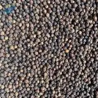 Export Grade Pure Black Pepper 500-550gl