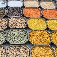 Pulses And Legumes