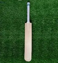 Kashmir Willow Bat