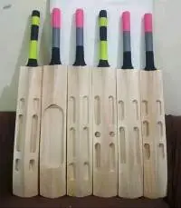 Kashmir Willow Bat