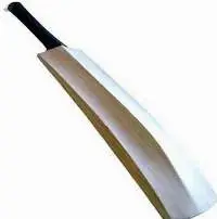 Kashmir Willow Bat