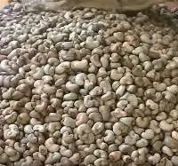 Raw Cashew Nut