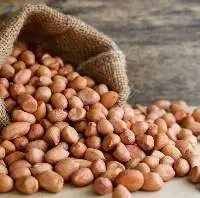 Groundnut for sale