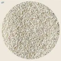 Hulled Sesame Seeds