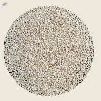 Sortex Sesame Seeds