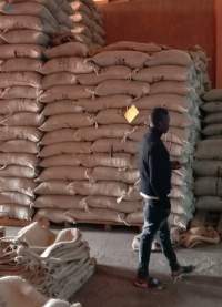 Tanzania Arabica Coffee