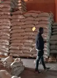 Tanzania Arabica Coffee