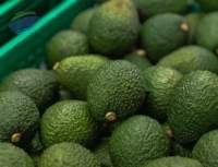 Hass Avocado