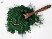 Spirulina Powder