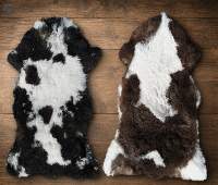 Sheepskin Rug