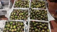 Passion fruit