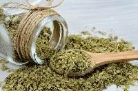 Oregano