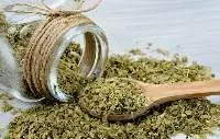 Oregano