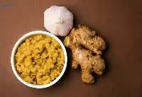 Garlic Paste