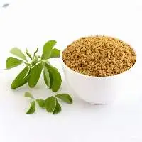 Premium Whole Fenugreek Methi Seeds