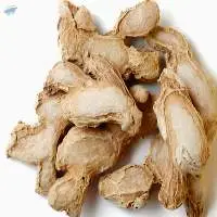 Dry Ginger
