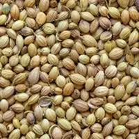 Dhaniya Whole Or Coriander Seeds