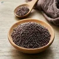 Black Mustard