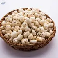 Fox nuts