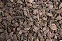 Big Cardamom