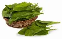 Organic Spinach
