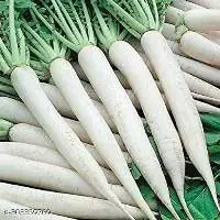 Organic Raddish