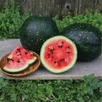 Organic Watermelon