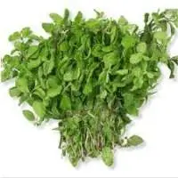 Organic Mint