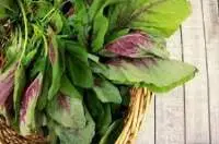 Organic Amaranths Green