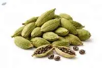 Premium Green Cardamom Pods Export Quality
