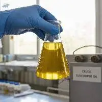 Crude Sunflower Oil for Bulk Export Supply