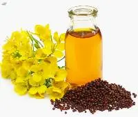 Crude Canola Oil for Refinery Supply Export
