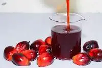 Crude Palm Oil for Industrial Refining Supply