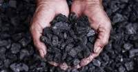 Pet Coke