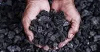 Pet Coke