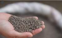 Di-Ammonium Phosphate (DAP)