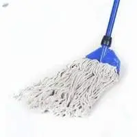 Kentucky Mops