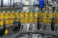 Refined Corn Oil