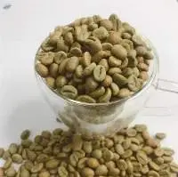 Rubusta And Arabica Green Coffee Beans