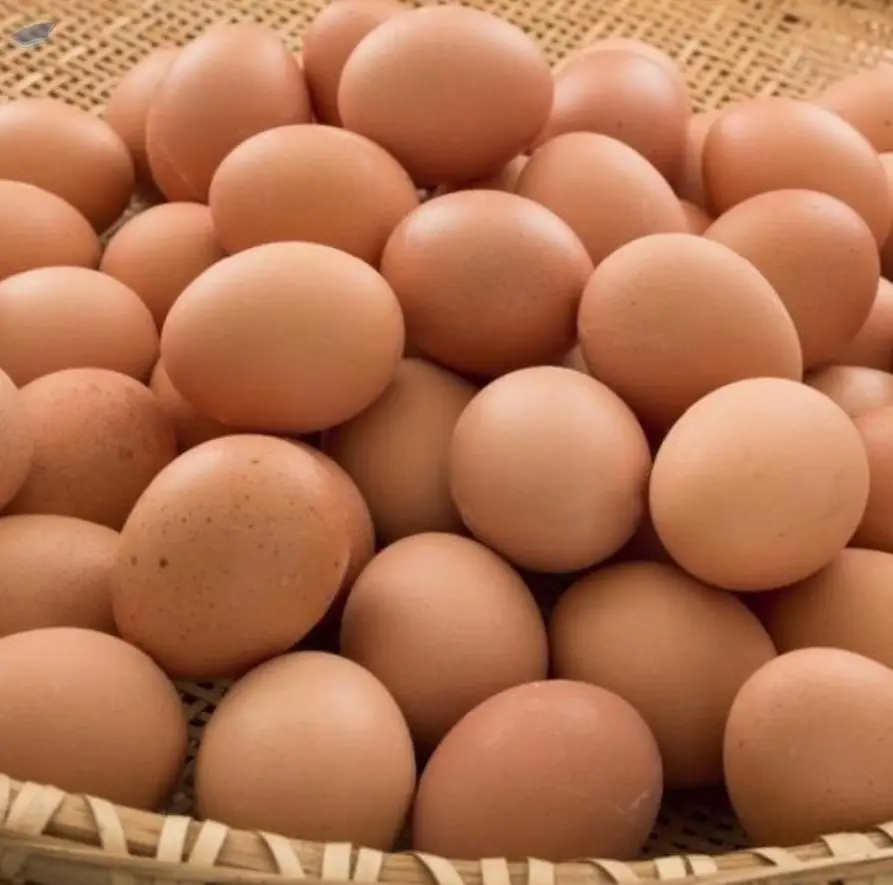 Fresh Brown/White Table Eggs Chicken Eggs
