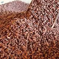 Cocoa Powder, Cocoa Beans, Cocoa Butter