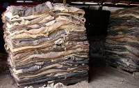 Wet Salted Cow Hides / Raw Leather