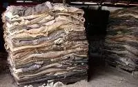 Wet Salted Cow Hides / Raw Leather